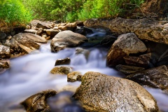 JAY_4376_HQ